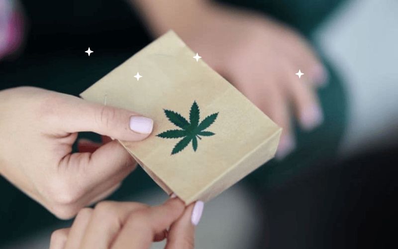 How We Safely Ship Cannabis Clones in Winter A Complete Guide for Growers