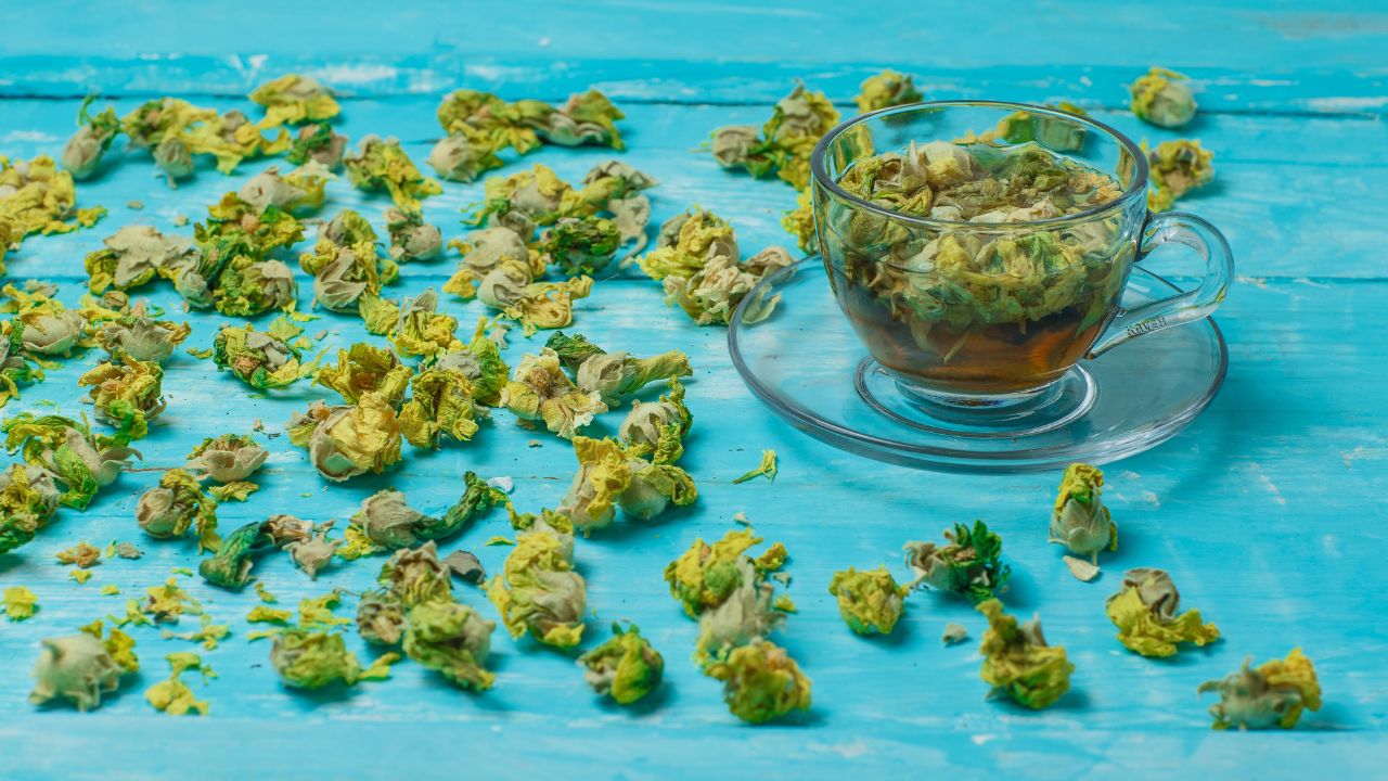 why-pinkmans-goo-cannabis-clone-stands-out