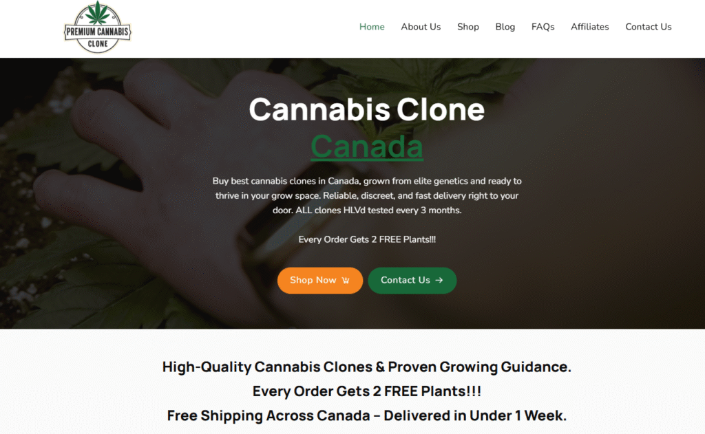 Cannabis Clone Canada